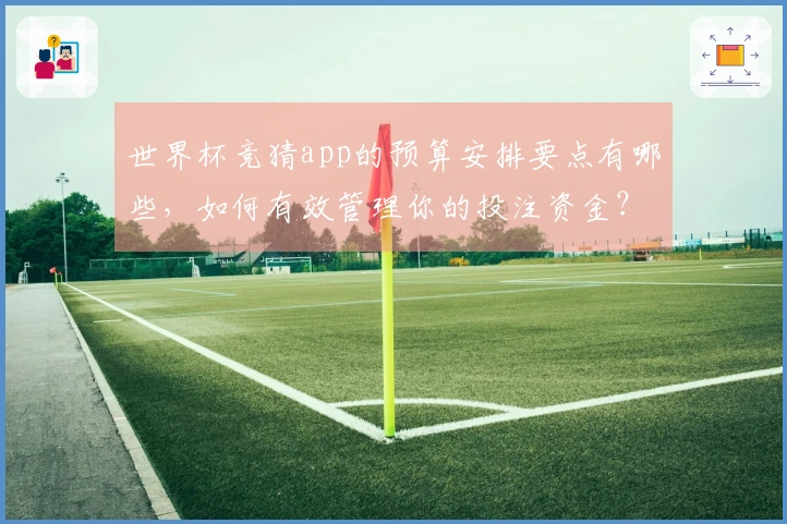 世界杯竞猜app的预算安排要点有哪些,如何有效管理你的投注资金?