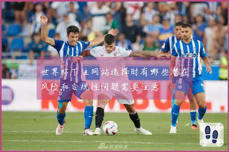 世界杯下注网站选择时有哪些潜在风险和合规性问题需要注意