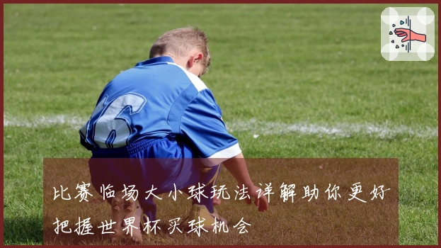 比赛临场大小球玩法详解助你更好把握世界杯买球机会