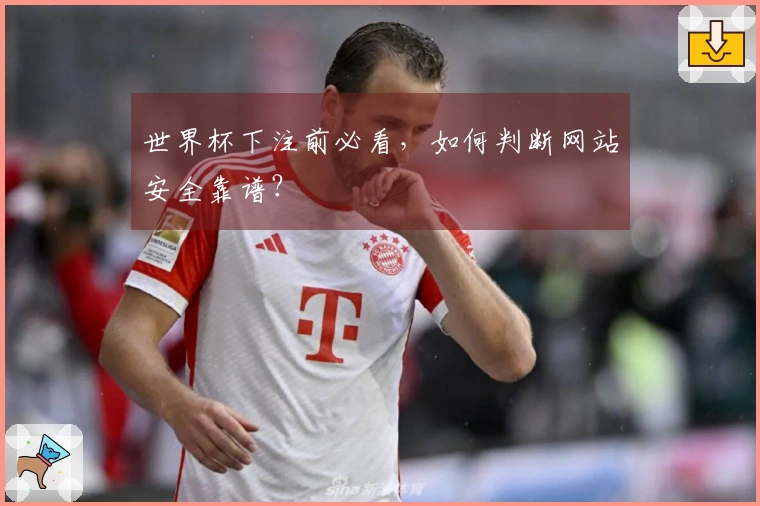 世界杯下注前必看，如何判断网站安全靠谱？