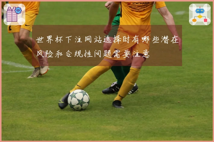 世界杯下注网站选择时有哪些潜在风险和合规性问题需要注意