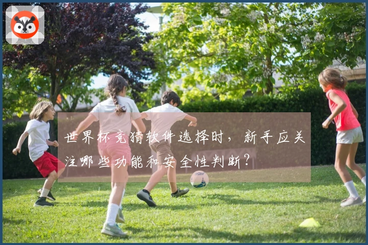 世界杯竞猜软件选择时,新手应关注哪些功能和安全性判断?